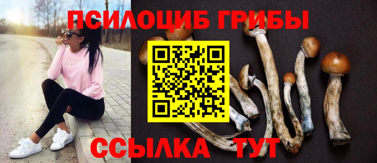 сколько стоит  Галлюциногенные грибы мицелий  Богородск  Вход с VPN  Галлюциногенные грибы Psilocybe 